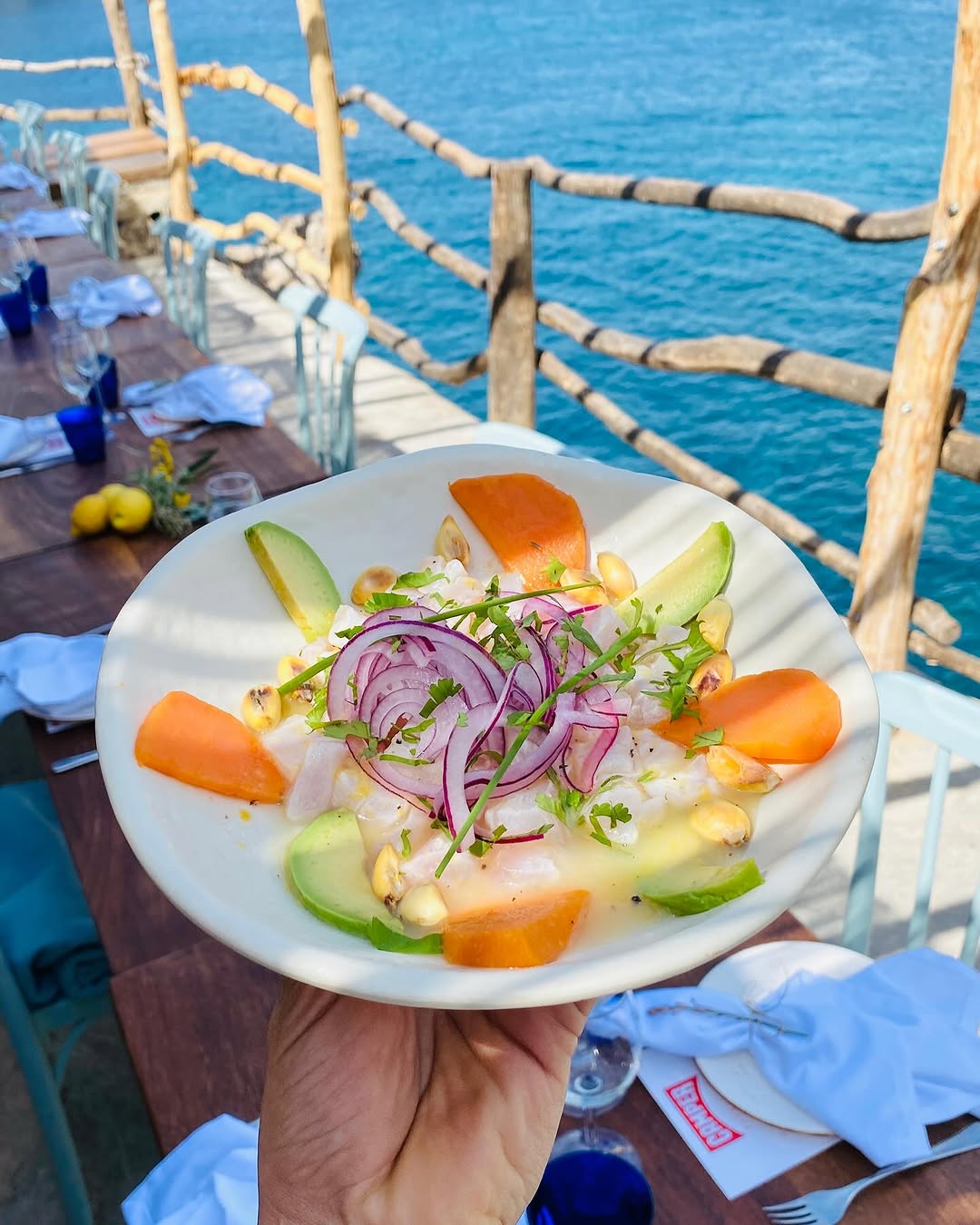 Een bord ceviche met rode ui, avocado en mais wordt omhooggehouden boven het terras van Ca's Patró March, met de zee en de houten reling op de achtergrond