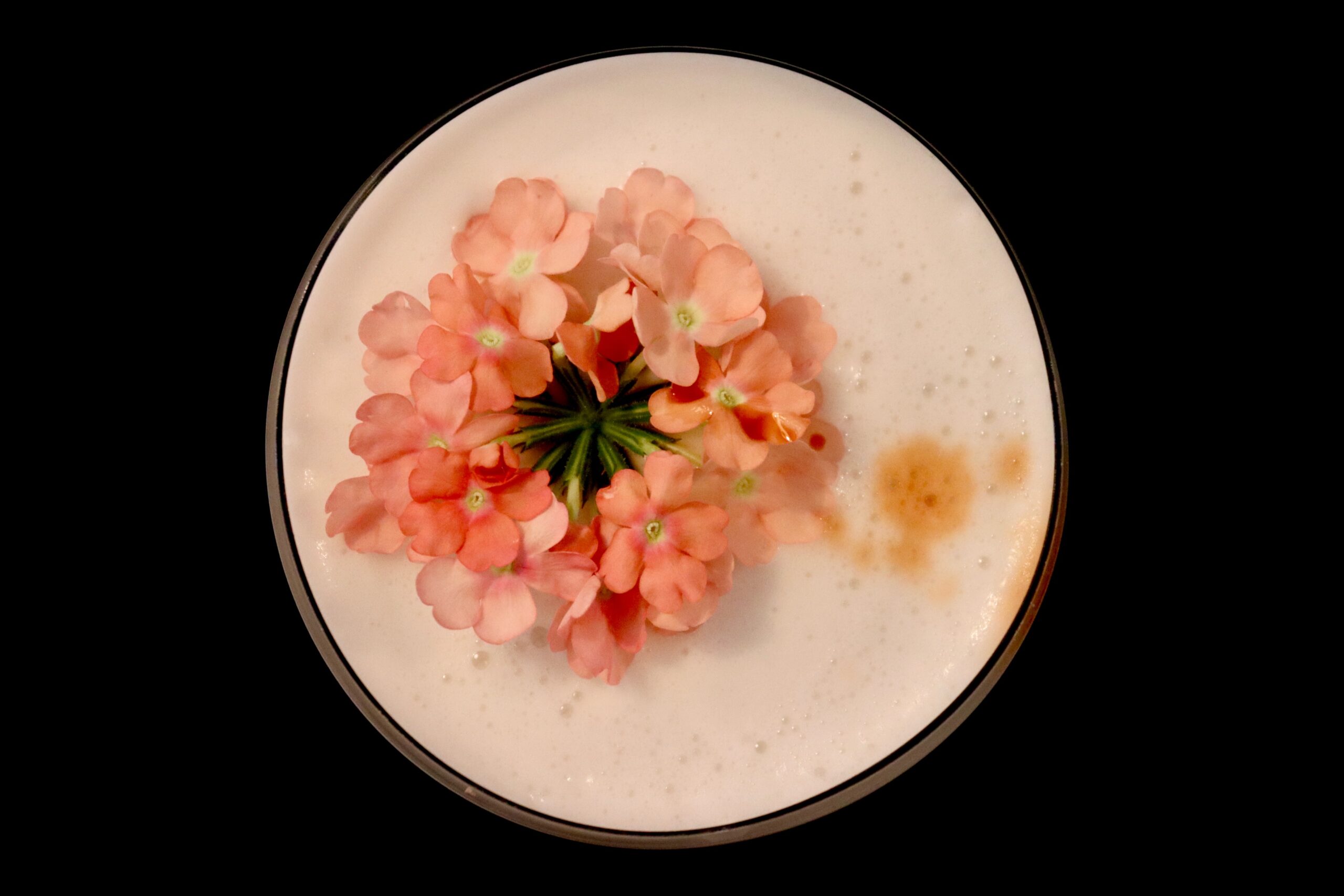 Cocktail van bovenaf gezien bij Casa Piedra, met een laag wit schuim en roze eetbare bloemen erop