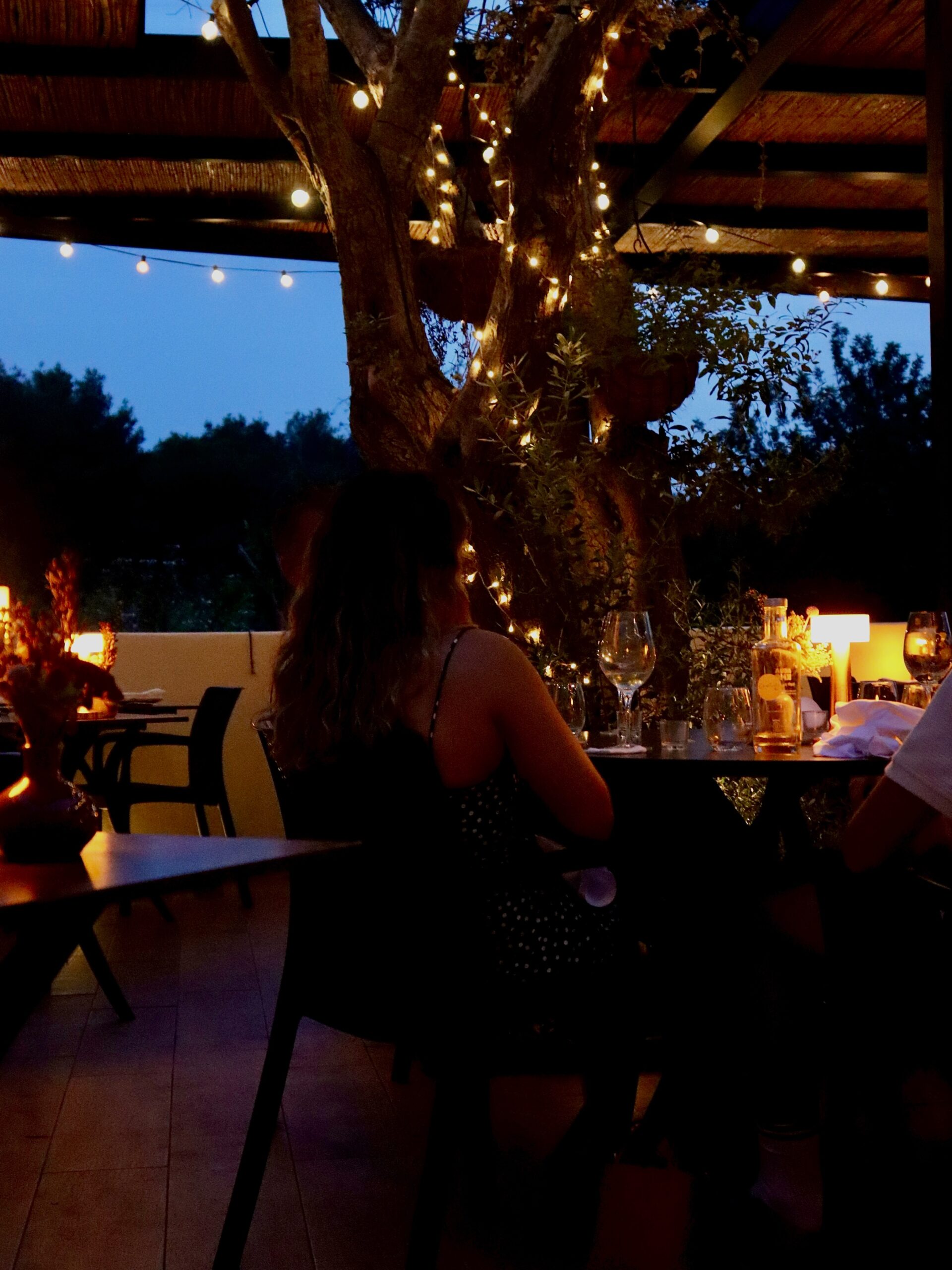 Terras van Casa Piedra in de schemering, onder een rieten pergola met lichtjes in een oude olijfboom en gasten aan tafel