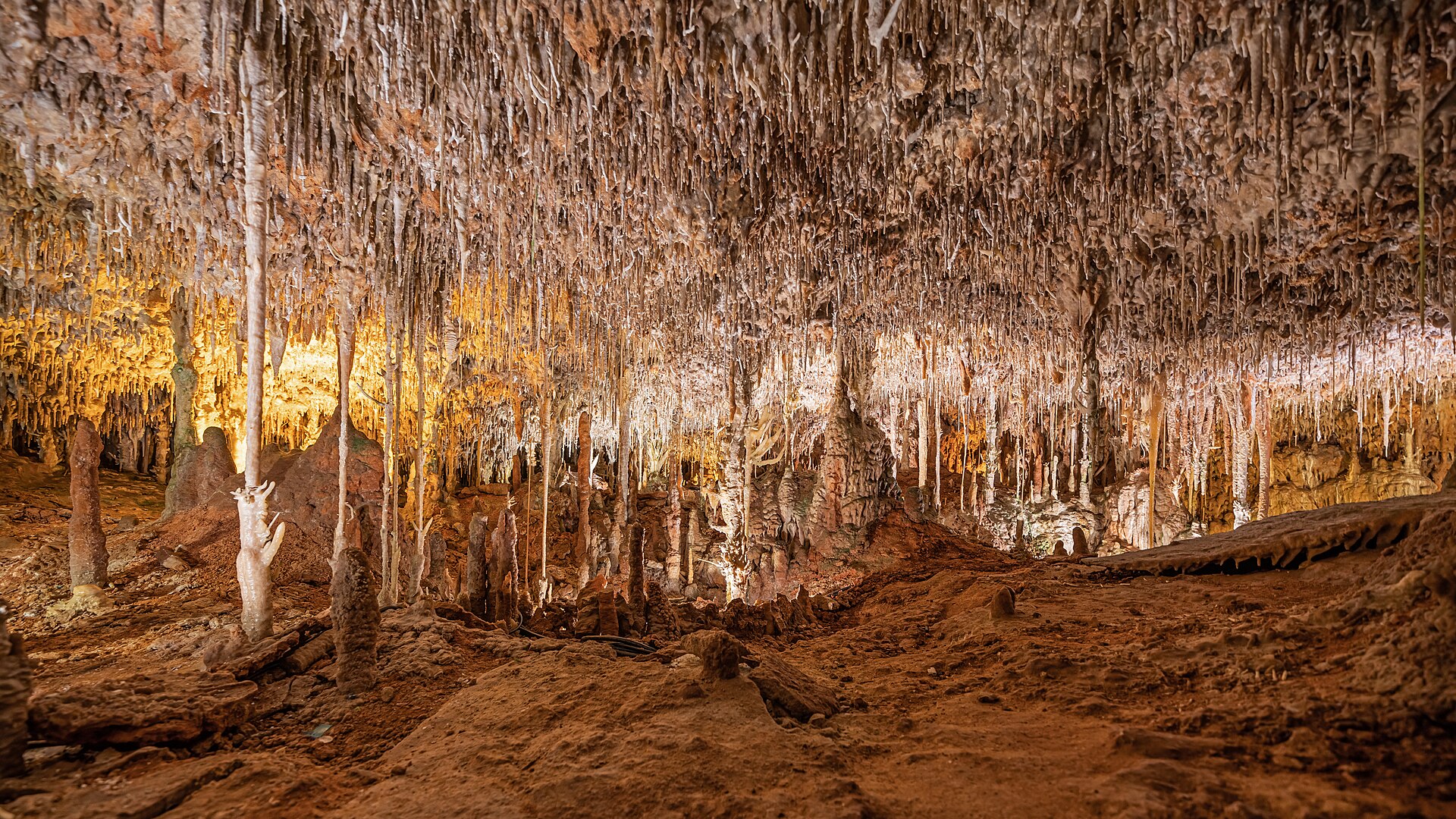Verlichte druipsteenformaties in een zaal van de Coves dels Hams bij Porto Cristo
