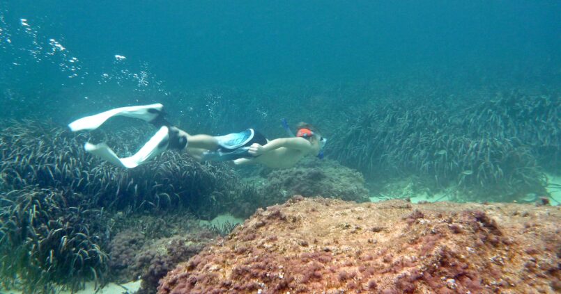 Snorkelaar zweeft boven een donker posidoniaveld in helder blauw water voor de kust van Mallorca