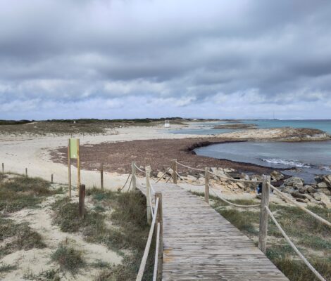 Het volledig lege zand van Platja de Llevant op Formentera in januari, met helder water en een strakke lucht
