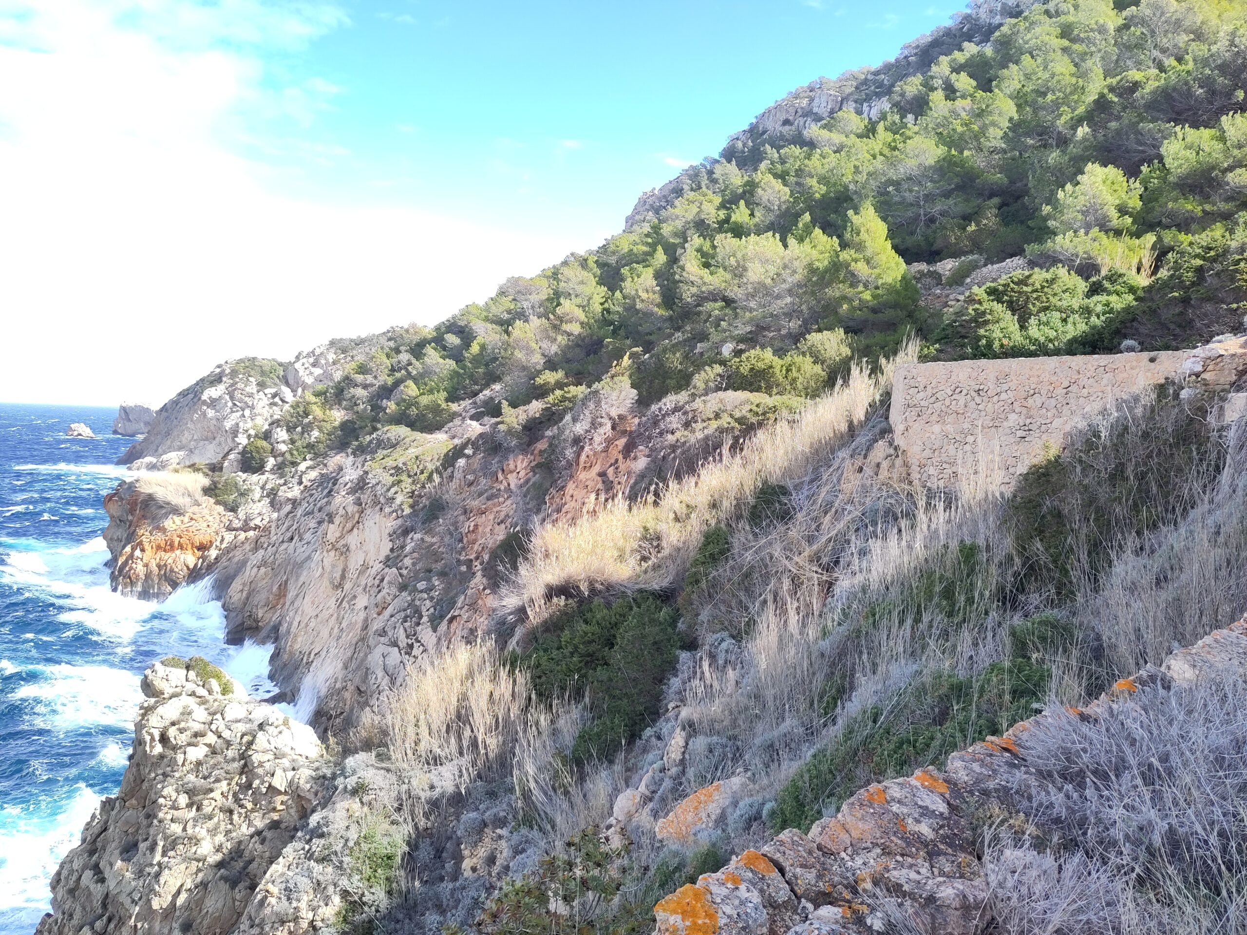 Ibiza in de winter: weer, zeewater en wat er doorgaat 2 De steile noordkust bij Davall els Horts onder Santa Agnès de Corona met schuimende zee en winterse begroeiing