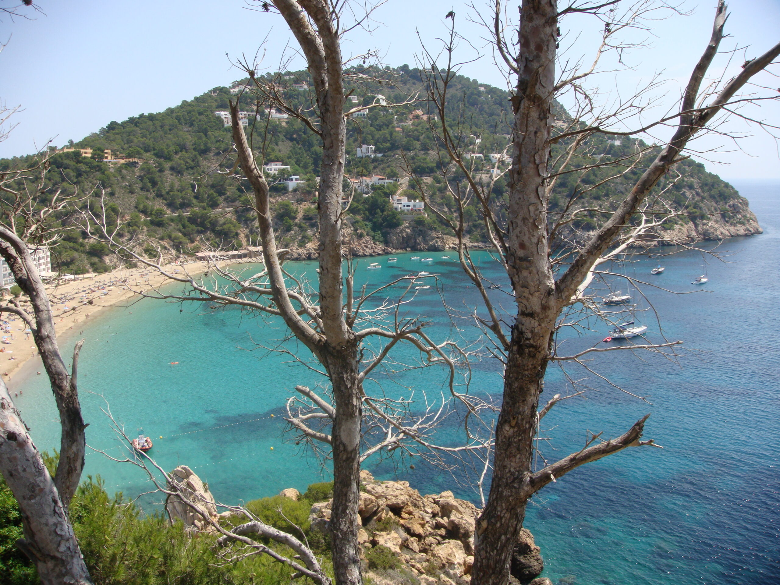 Ibiza in juli: de drukste en duurste maand van het jaar 2 Baai op Ibiza met een vol strand, badgasten in het water en boten voor de kust begin juli
