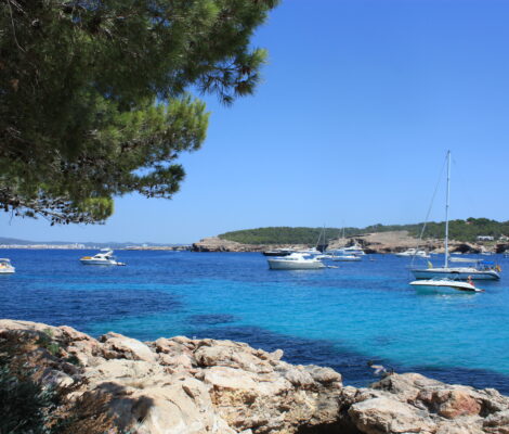 Turquoise water van Cala Bassa op Ibiza met ankerende boten en pijnbomen in juli