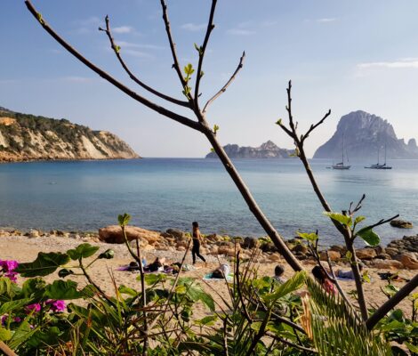 Uitzicht vanaf het strand van Cala d'Hort op Es Vedrà in mei, met bloeiende struiken en uitlopende vijgentakken op de voorgrond