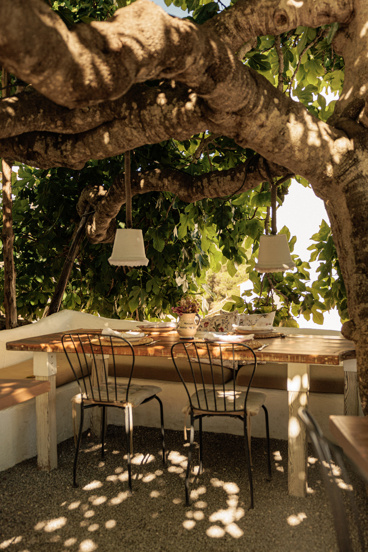 La Luna nell’Orto Ibiza: zelfgemaakte pasta onder een eeuwenoude vijgenboom 1 Gedekte houten tafel bij La Luna nell’Orto onder de dikke knoestige takken van een eeuwenoude vijgenboom, met lampenkappen aan de takken