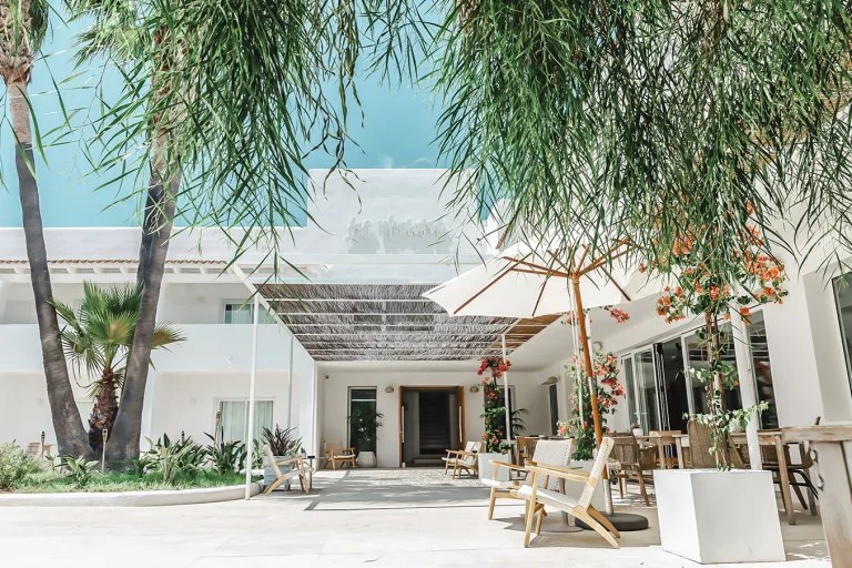Las Mimosas Ibiza: boutiquehotel met zeventien suites bij Sant Antoni 7 Binnentuin van Las Mimosas Ibiza met palmen, parasols en ligstoelen