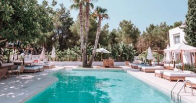 Het zwembad van Las Mimosas Ibiza met palmen en ligbedden eromheen