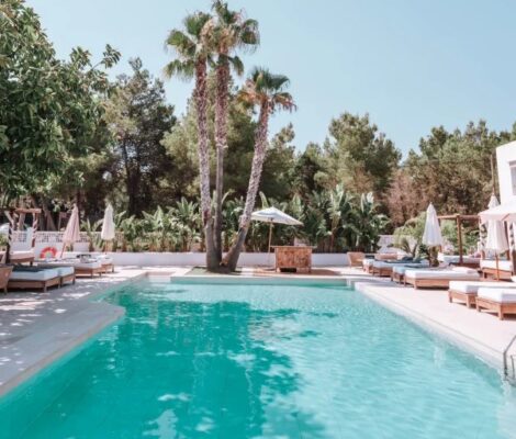 Het zwembad van Las Mimosas Ibiza met palmen en ligbedden eromheen