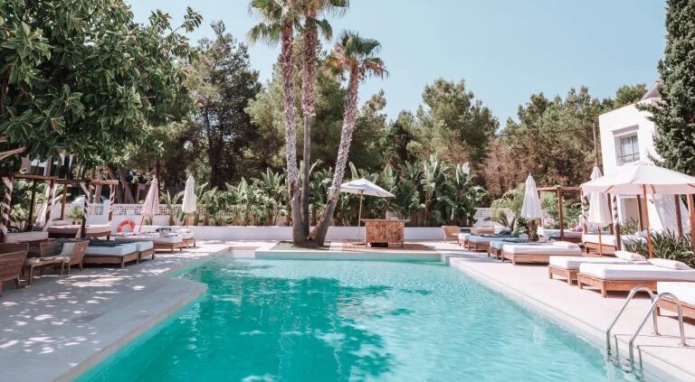 Het zwembad van Las Mimosas Ibiza met palmen en ligbedden eromheen