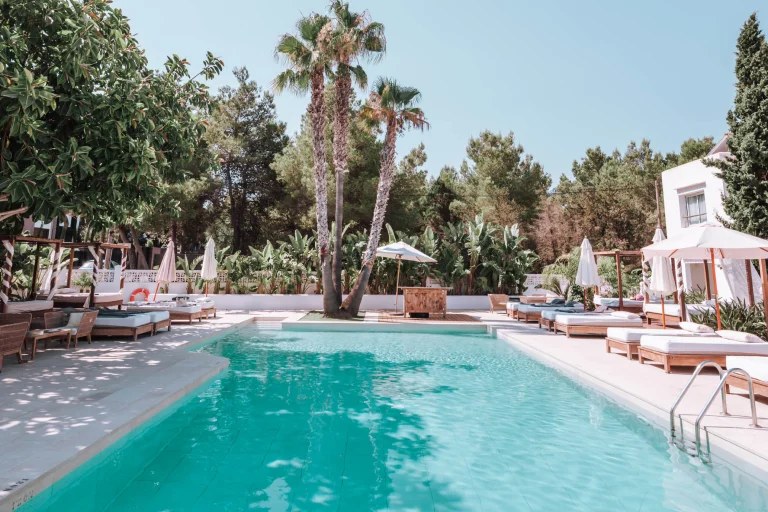 Las Mimosas Ibiza: boutiquehotel met zeventien suites bij Sant Antoni 1 Het zwembad van Las Mimosas Ibiza met palmen en ligbedden eromheen