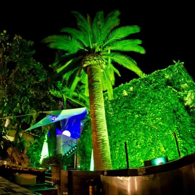De patio van Luna Palma bij avond met groene uitlichting en zitplekken langs de haag