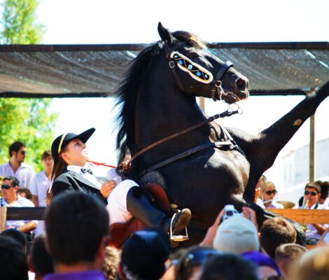 Zwart Menorquijns paard dat tijdens het jaleo op zijn achterbenen gaat staan tussen het publiek in Sant Climent