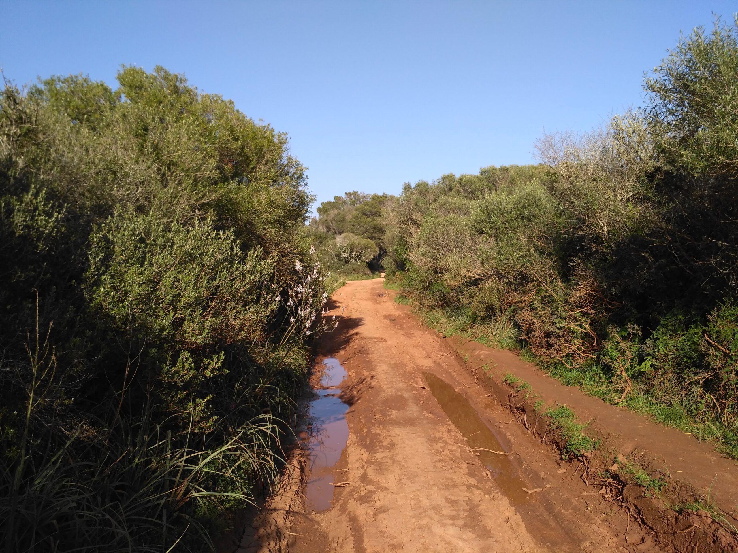 Het brede zandstrand van Arenal de Son Saura bij Ciutadella op Menorca