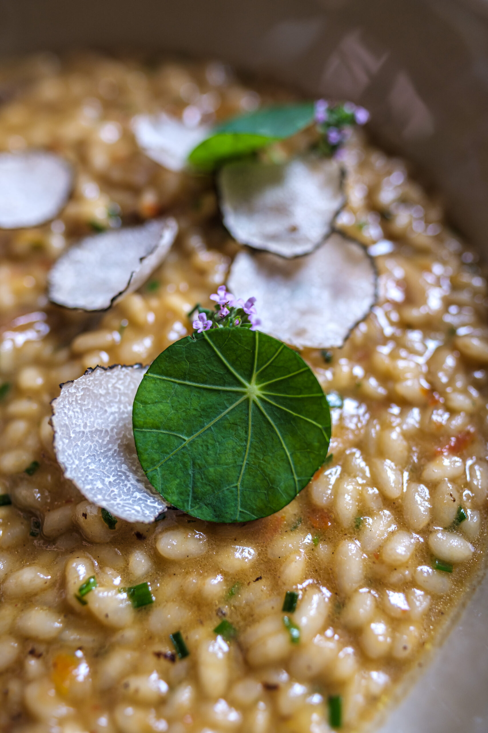 Mouna Palma: 100% biologisch vegetarisch eten in een oud casal 6 Risotto met schilfers verse zwarte truffel en een blad Oost-Indische kers in een donkere kom