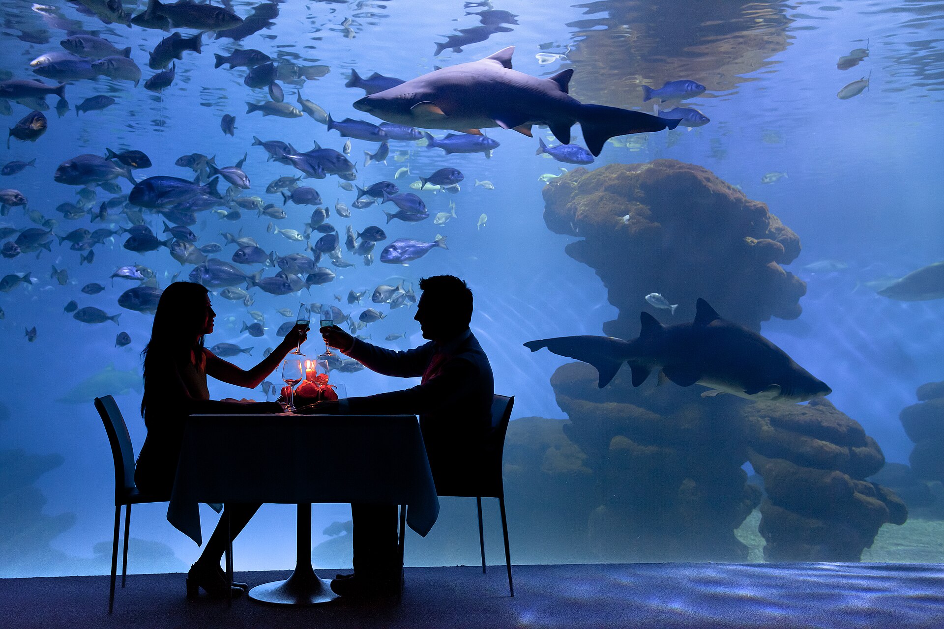 Gedekte tafel vlak bij het glas van het grote haaienbassin van Palma Aquarium