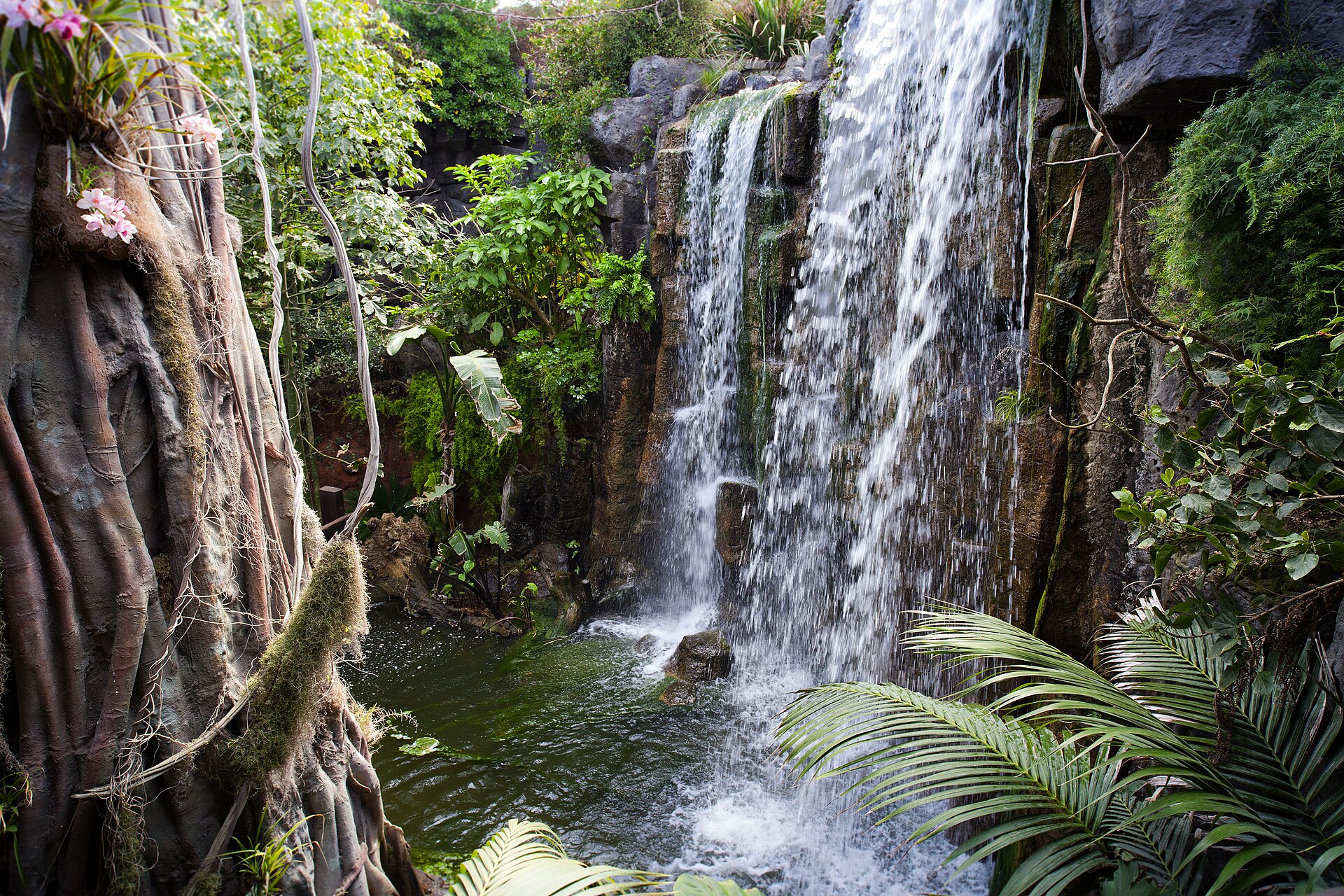 De waterval van zeven meter in de overdekte Jungle van Palma Aquarium, met varens, orchideeën en lianen eromheen