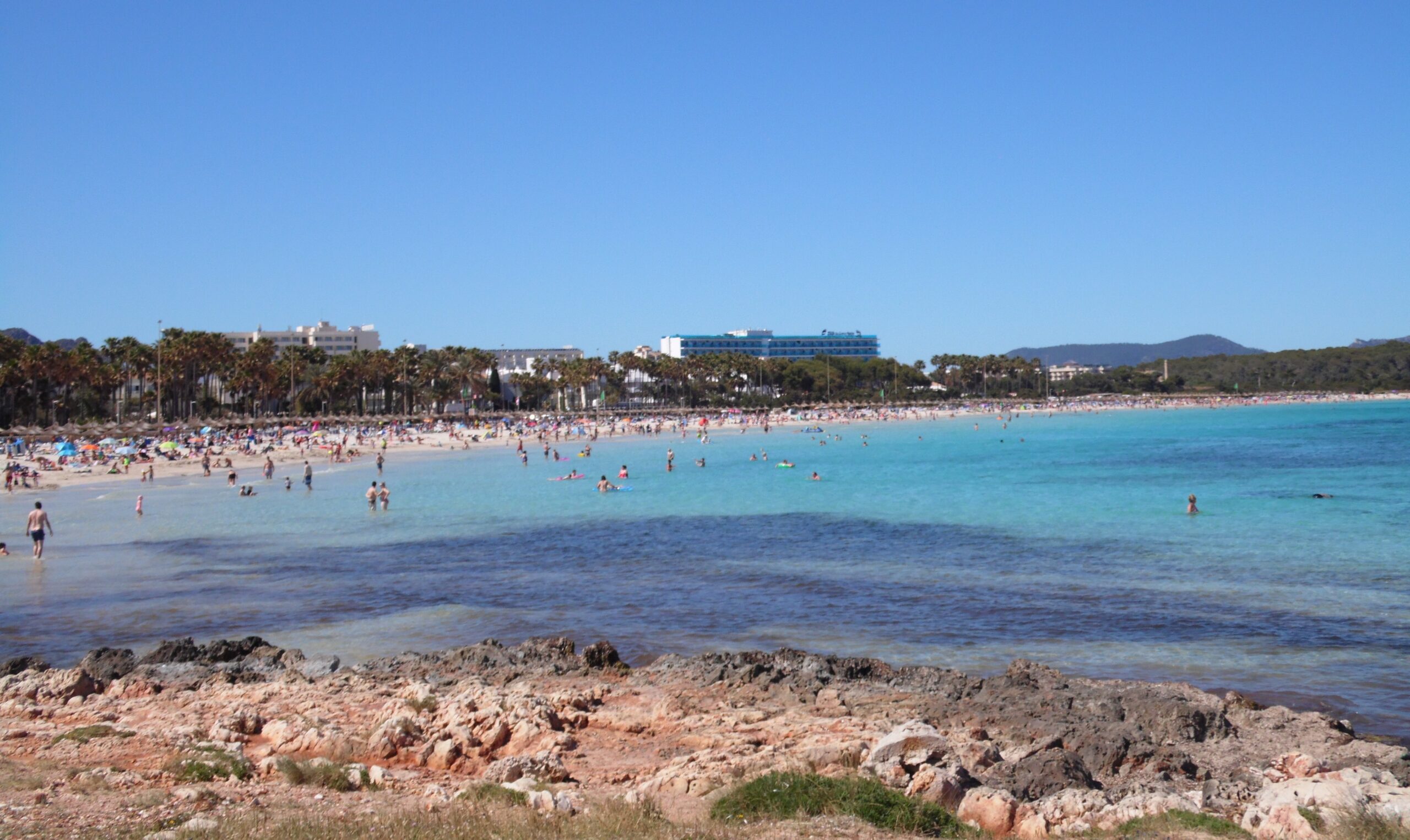 Het strand van Sa Coma gezien vanaf de rotsen van de Punta de n'Amer, met de ondiepe baai, de palmen op de promenade en de hotels erachter
