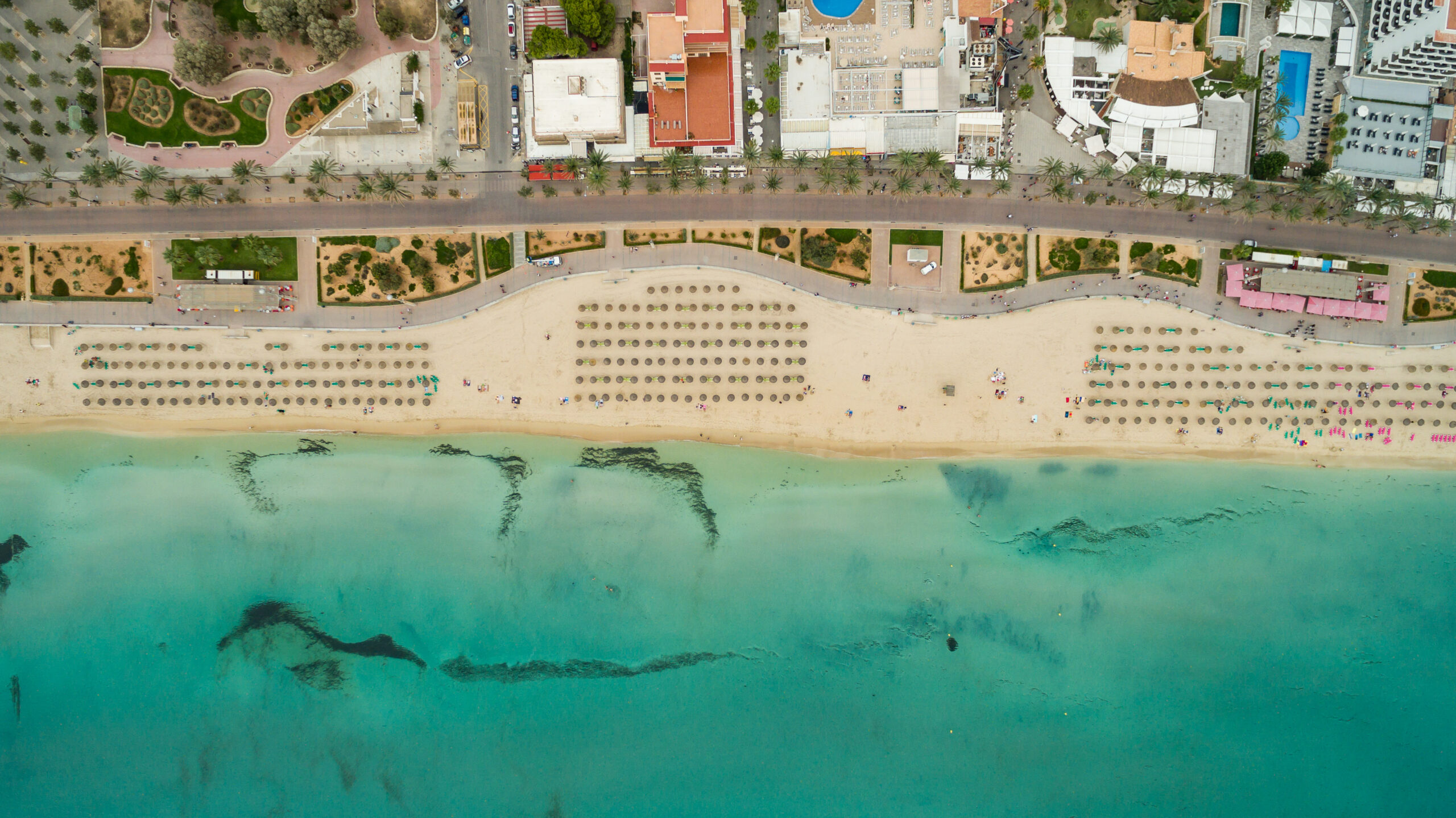 Playa de Palma (Mallorca): het grote stadsstrand bij Palma 3 Luchtfoto recht boven de Playa de Palma met de rijen ligbedden en rieten parasols, de promenade en het ondiepe turquoise water