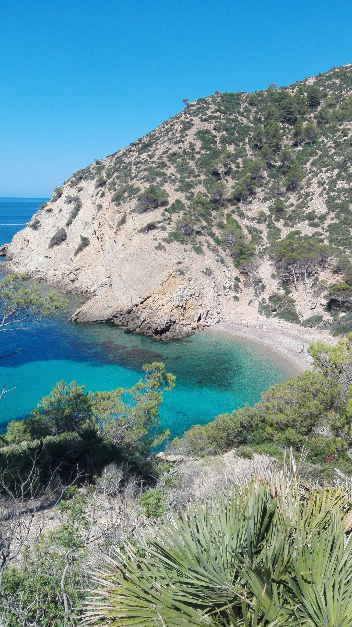 Panorama van de rotsige inham Cala d'Egos bij Port d'Andratx met helder water tussen de kliffen