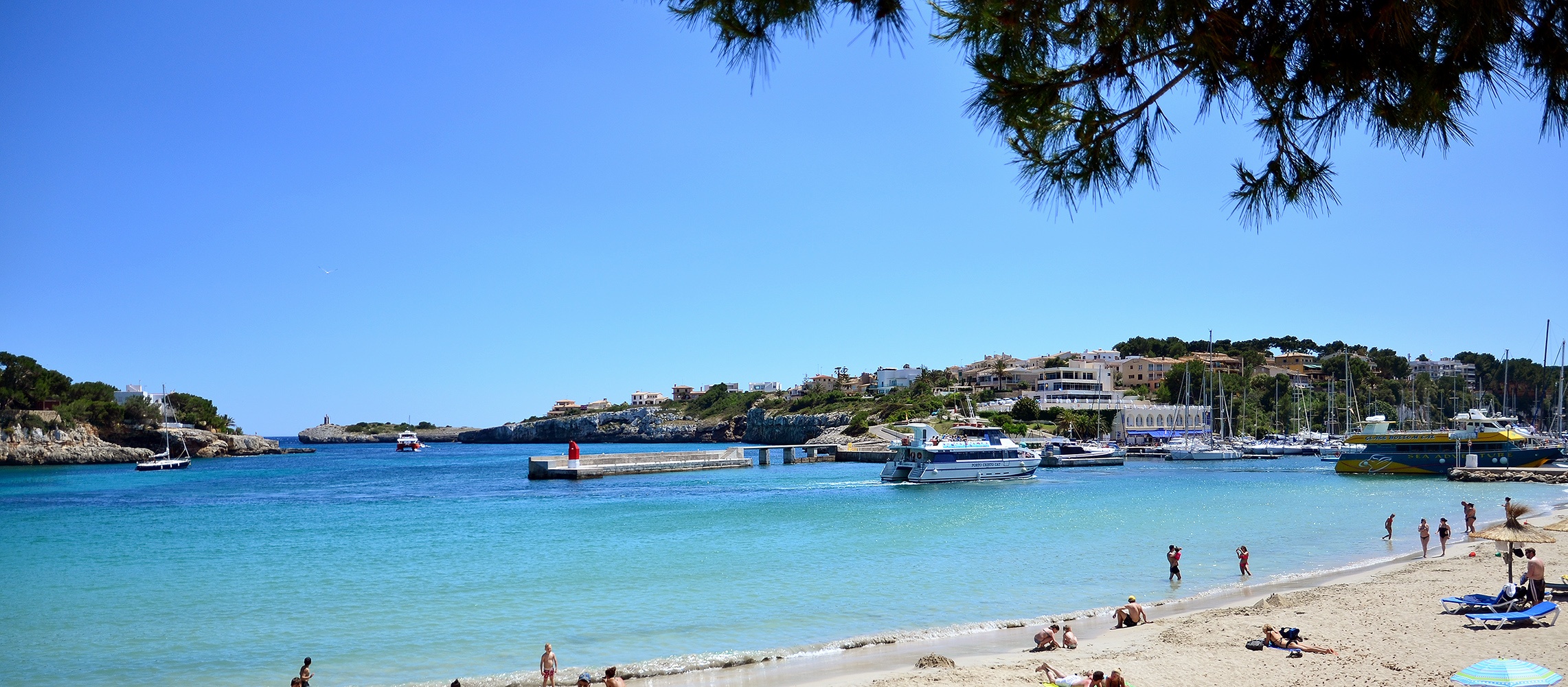 Porto Cristo Mallorca: strand, grotten en de landing van 1936 6 Breed uitzicht over Porto Cristo onder de takken van een den, met rechts het strand en links de steiger, de boten en de monding van de inham