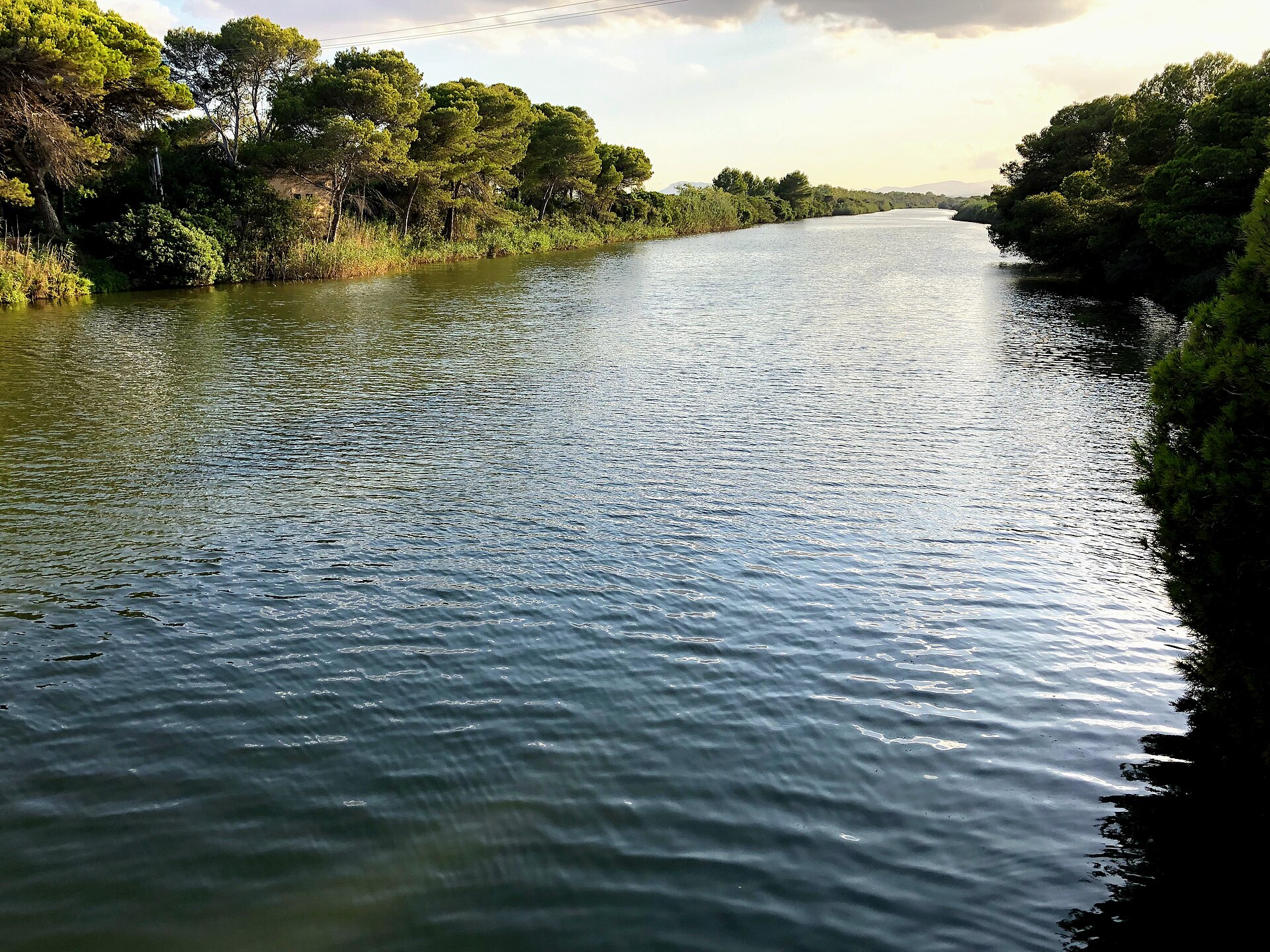 S'Albufera Mallorca: het moeras dat de Engelsen wilden droogleggen 2 Het brede Gran Canal van s'Albufera met pijnbomen langs beide oevers en de bergen in de verte