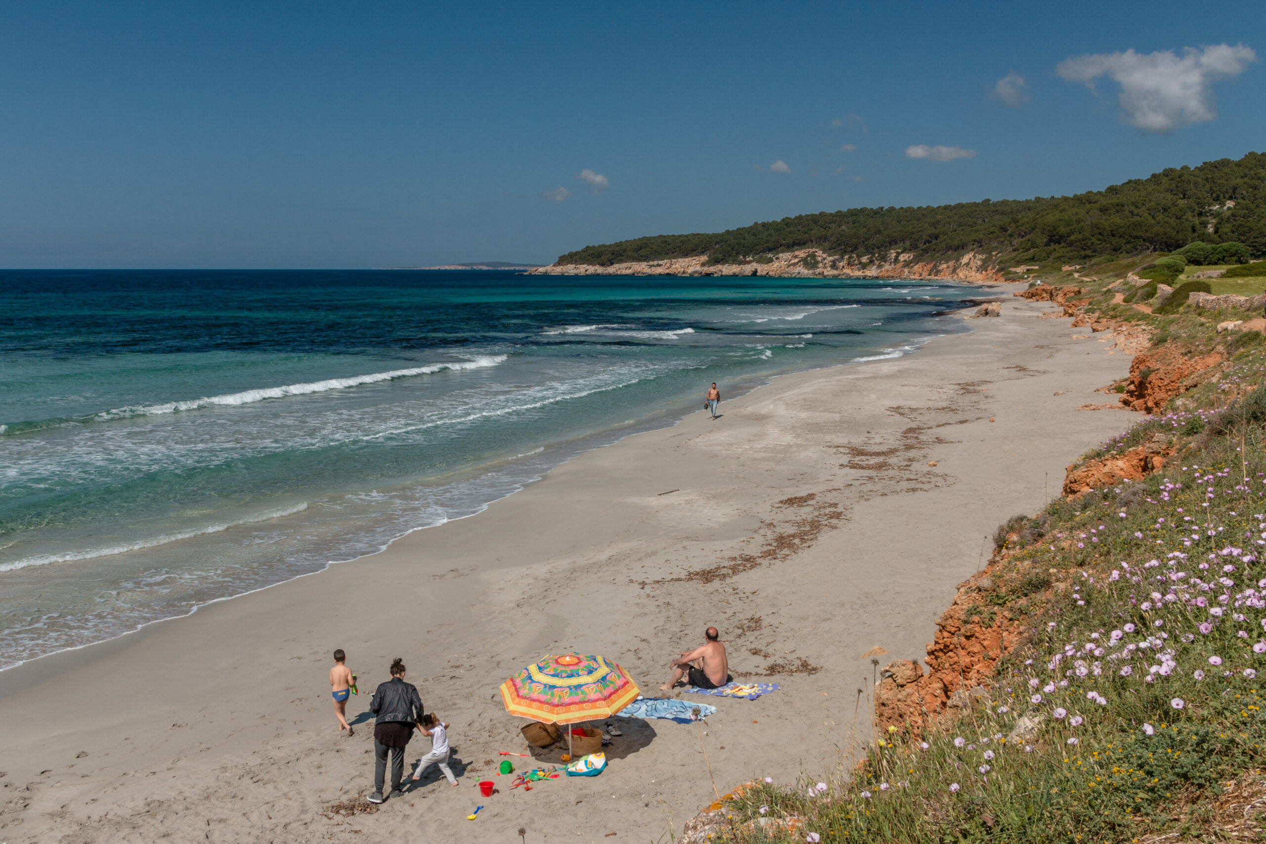 Het brede, onbebouwde strand van Binigaus met rode kleikliffen en een pijnbomenbos erachter