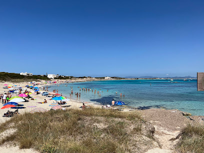 De kom van Ses Canyes op Formentera met zand, rotsplaten en helder ondiep water