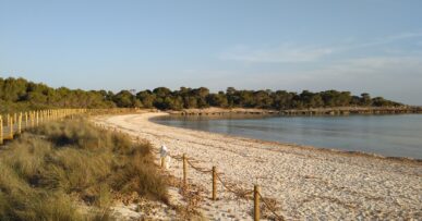 Het witte zand van Son Saura op Menorca met het duinhek, het vlonderpad en de pijnbomen rond de baai