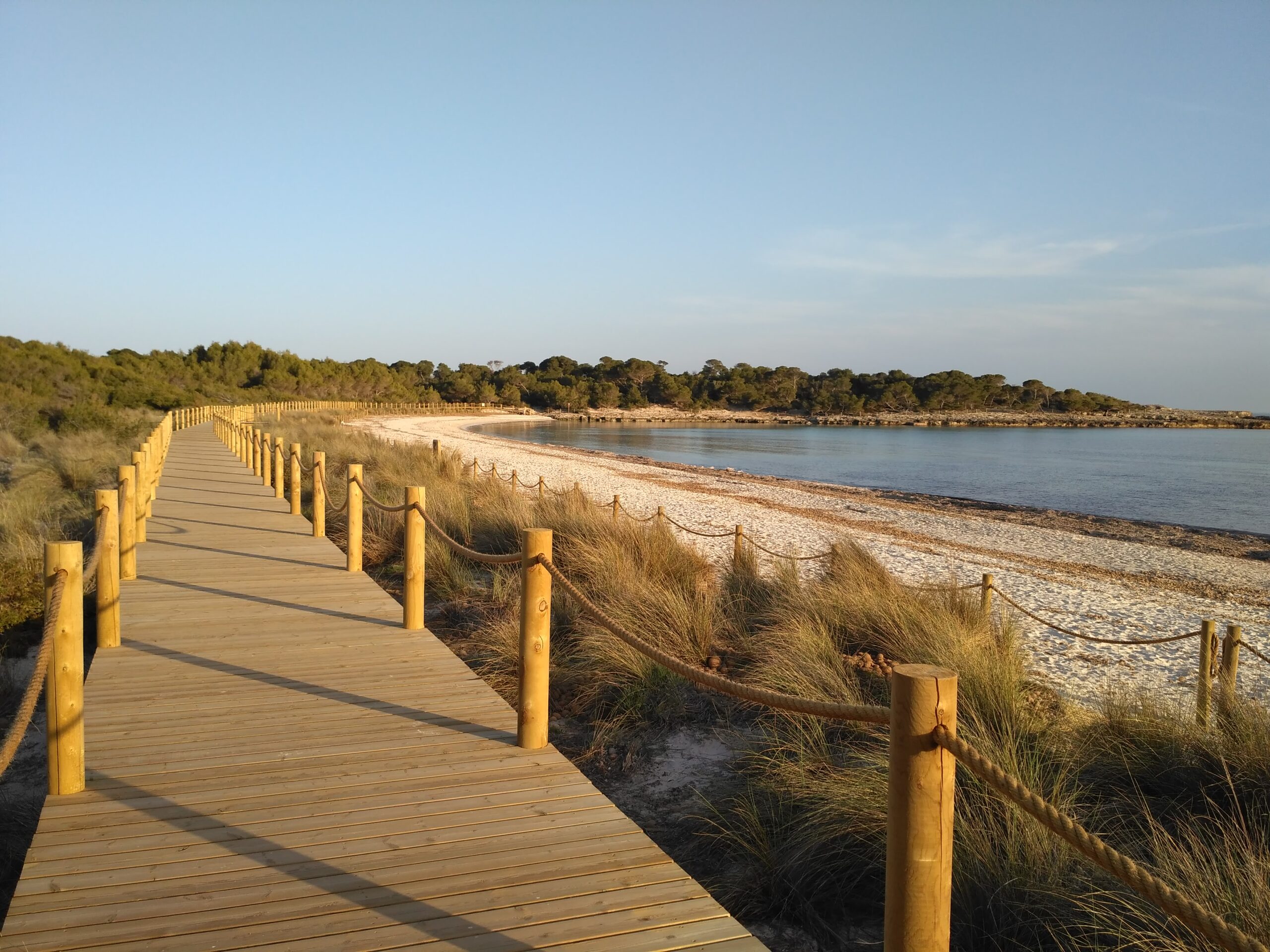 Son Saura Menorca: de dubbelbaai bij Ciutadella, parkeren en bus L66 4 Houten vlonderpad door de duinen achter het strand van Son Saura op Menorca