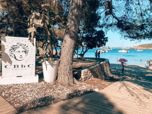 Cala-Bassa-Beach-Club-Ibiza-strand-1024x768